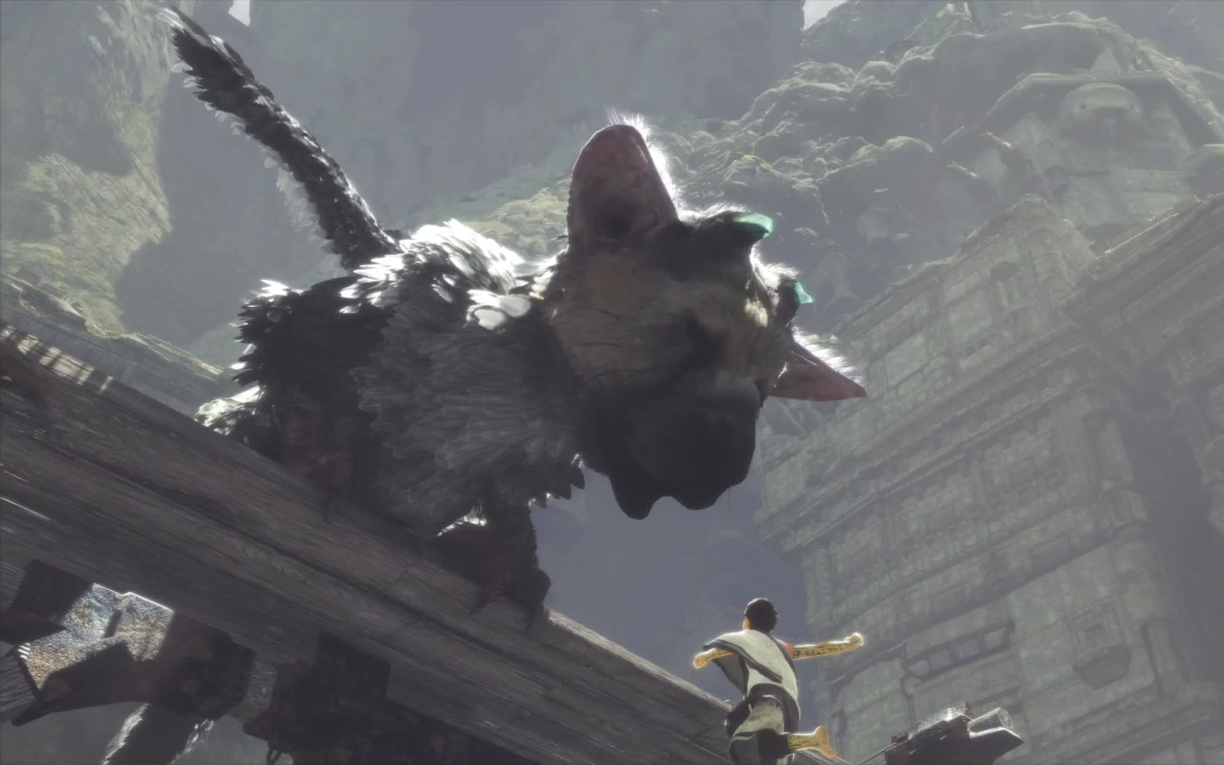 [图]最后的守护者 The Last Guardian