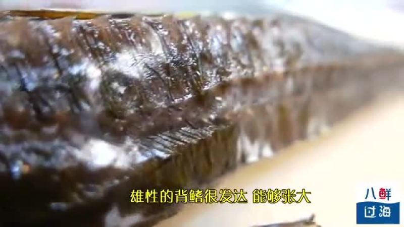 360影视 影视搜索 360影视 影视搜索