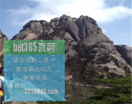 为什么浏览器收藏雪缘园即时比分网页总是失败