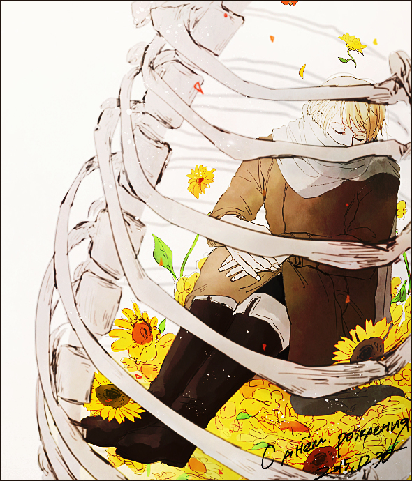 求aph中俄罗斯(露西亚)的图qwq