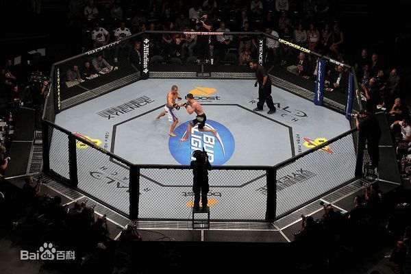 UFC总决赛是什么