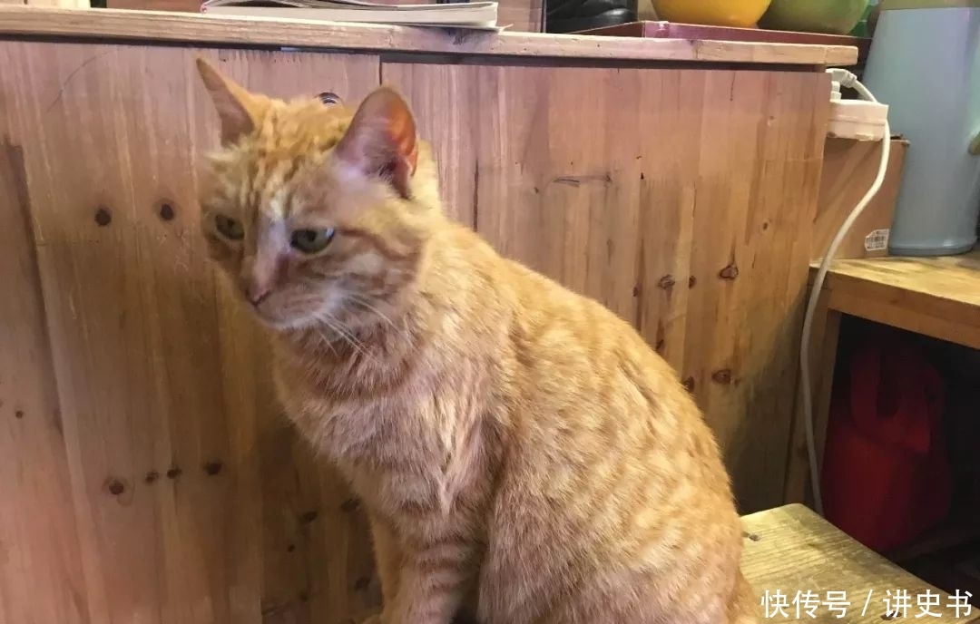 香港在重庆那边