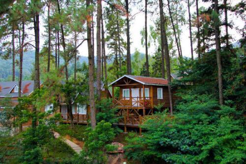 森林康养是什么意思