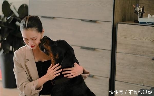 今天是2019年最后一天了