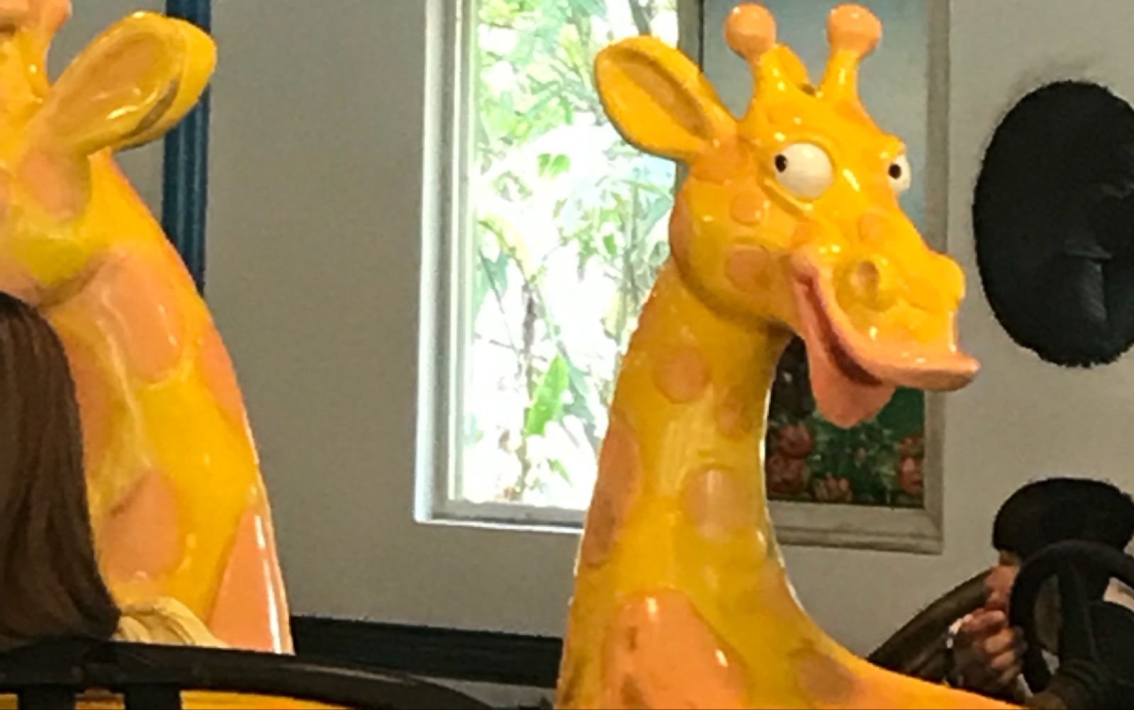 长颈鹿的表演开始了.