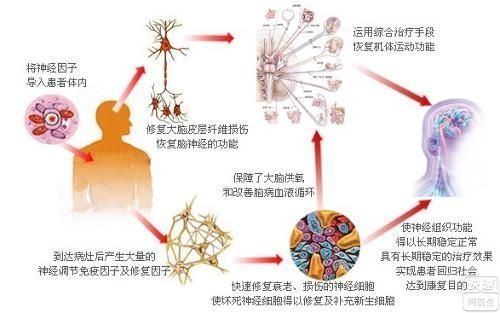 格林巴利能治那?