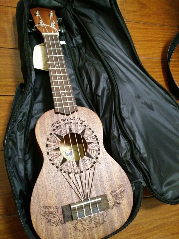 想要自学尤克里里(之前并没有任何学习乐器的