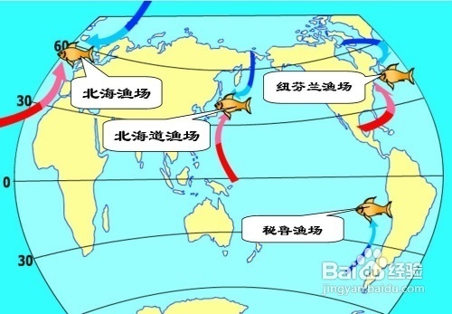 北海道渔场地图位置图片