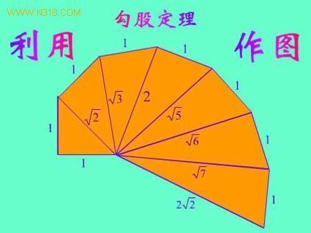 海螺图数学怎么画图片