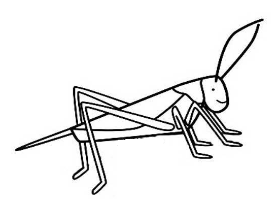 蟋蟀的住宅图画简笔画图片