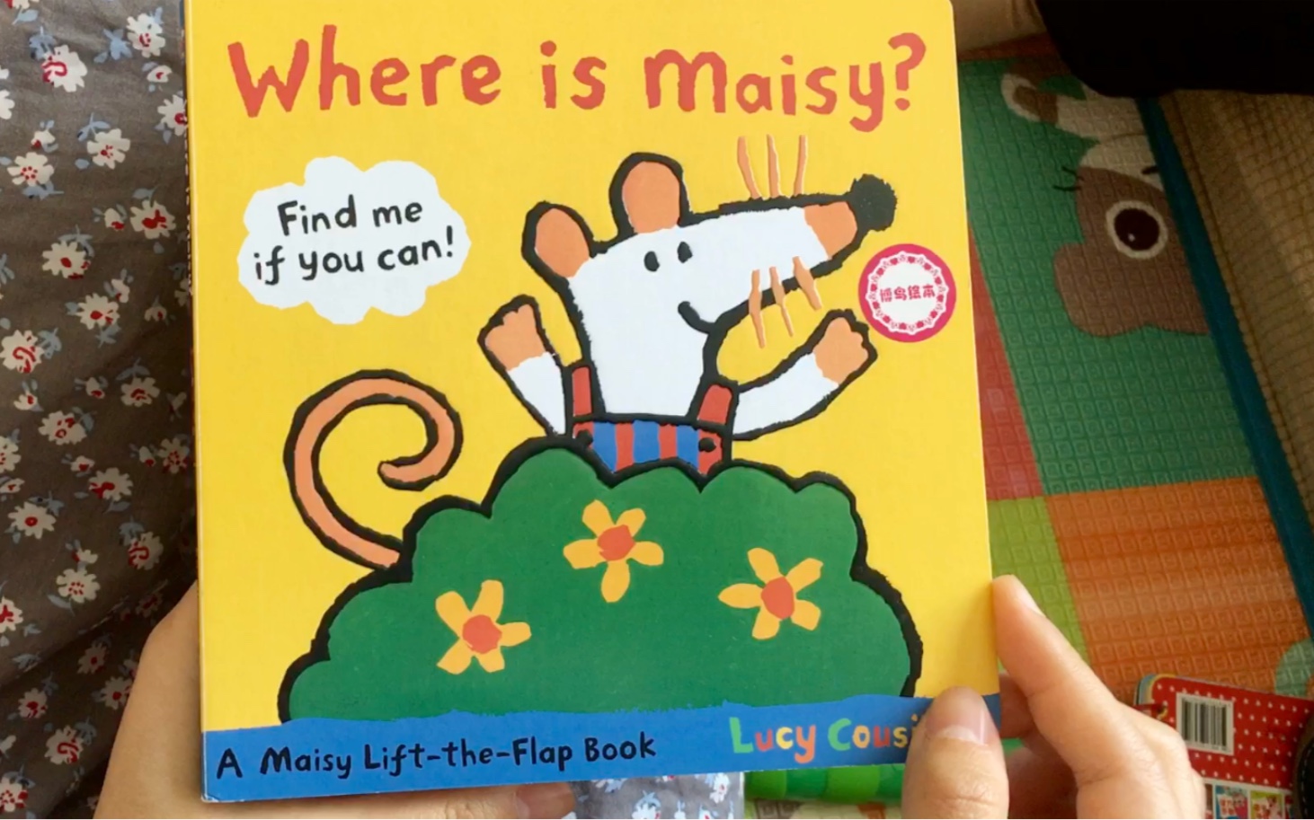 [图]【姐姐读绘本】Where is Maisy? 小鼠波波系列