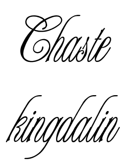 艺术花体英文签名在线设计Chaste.kingdalin