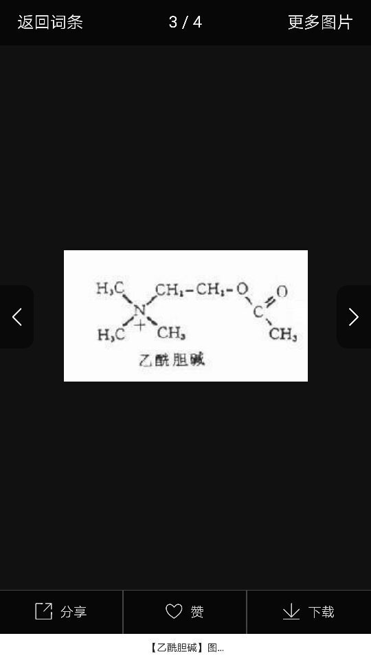 如图,百度百科的,乙酰胆碱属于氨基酸类物质?