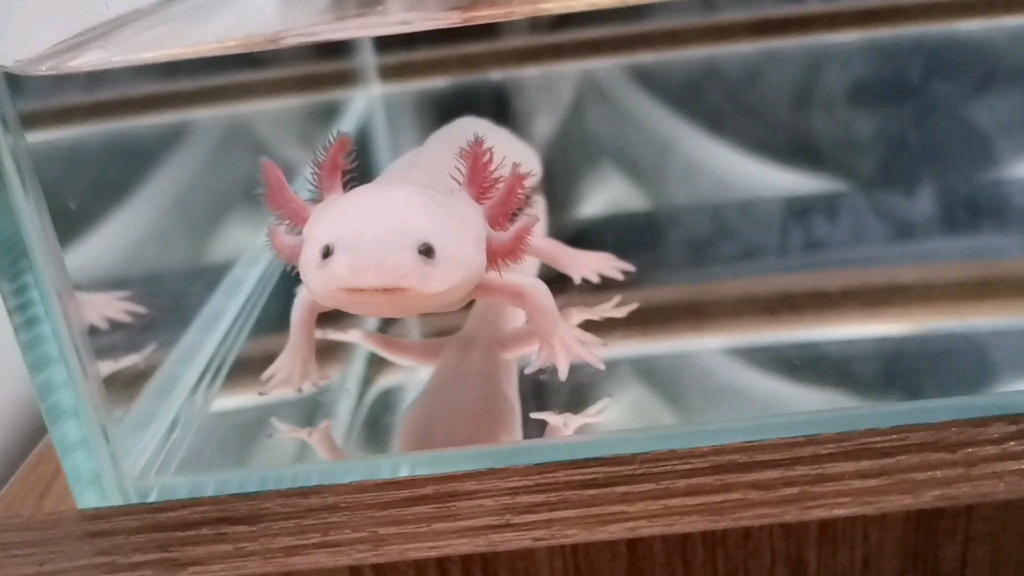 360影视 影视搜索