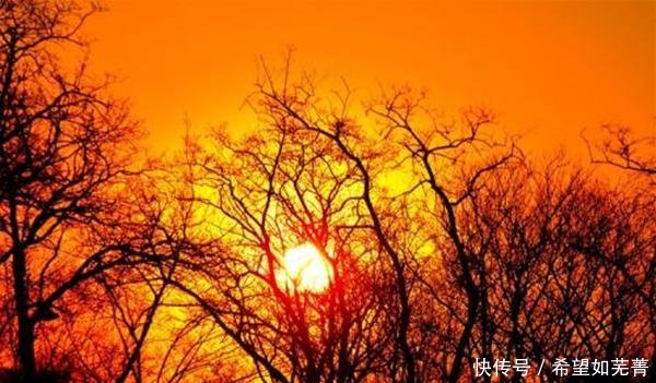 愿新年胜旧年解析