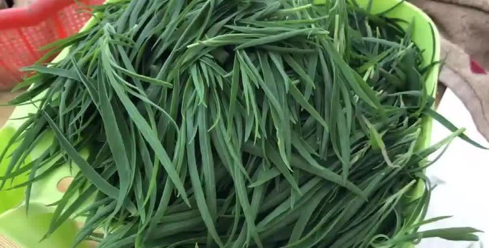 农村美食 笤帚苗的美味做法,简单又好吃,大人小孩都爱吃