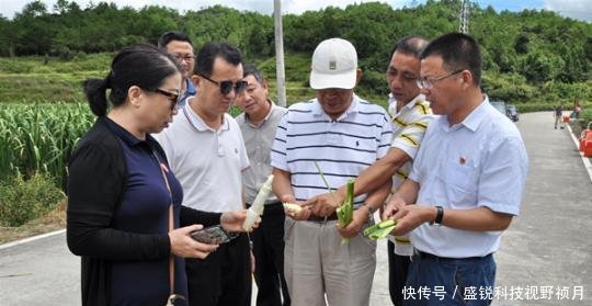 捐赠扶贫产业扶贫