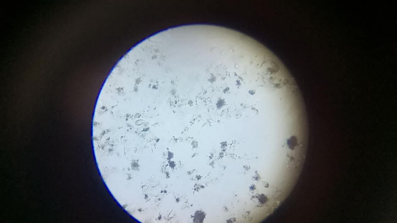 360影视-影视搜索