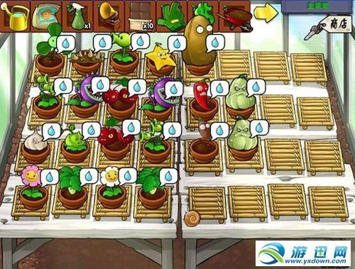 《植物大战僵尸》禅境花园