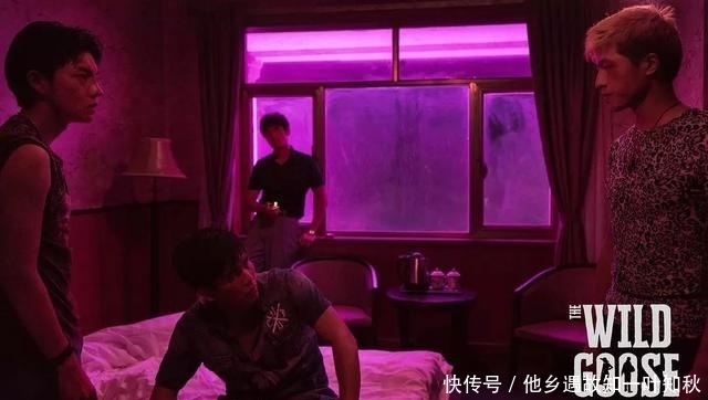 投资风险高的行业