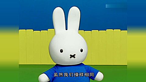 米菲:米菲是白色的,梅儿是棕色的,她们认识了许多不同的颜色!