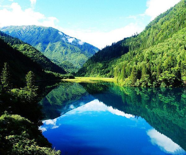 求一张图片,有山,有水,有树木