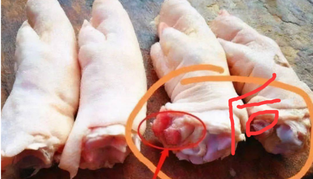 猪前脚和后脚的区别图图片