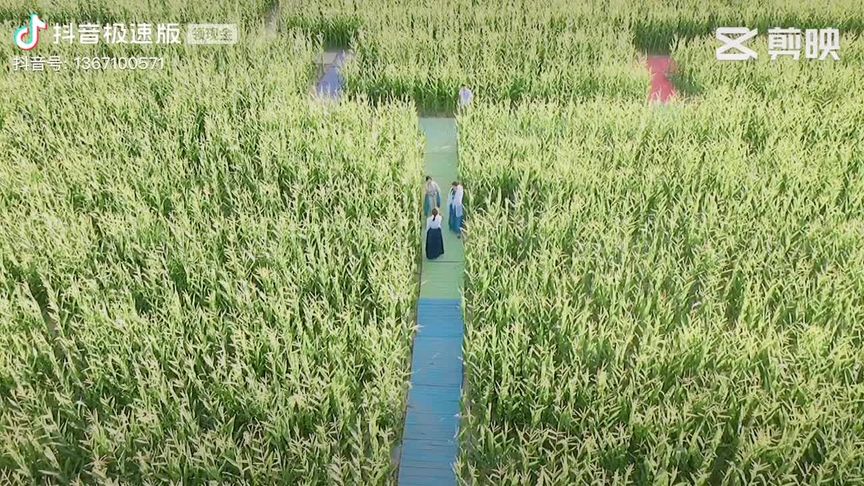 360影视 影视搜索