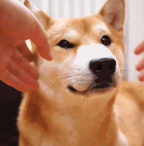 求一份糖尿病的减肥运动食谱,要每顿吃什么那种,最好是一周以上的