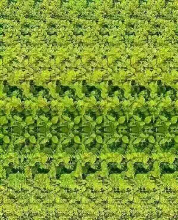 能看到什么?这是一张3d图,放大到整个手机屏幕