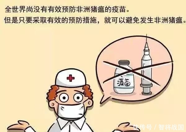 非洲非洲猪瘟疫情现状