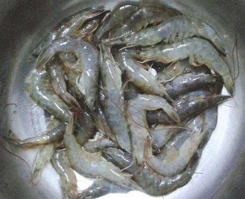 死虾和活虾营养价值有区别么