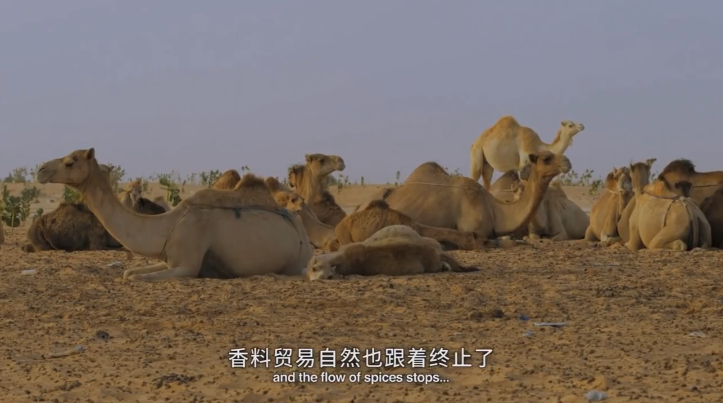 [图]苏丹占据地理优势,遏制着贸易要塞,切断了丝绸之路的贸易往来