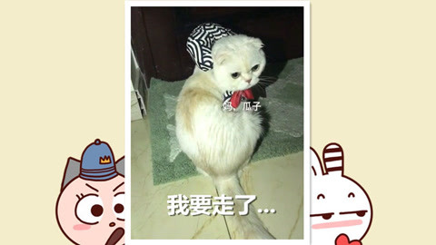 【会说话的刘二豆】二豆受委屈,要离家出走!