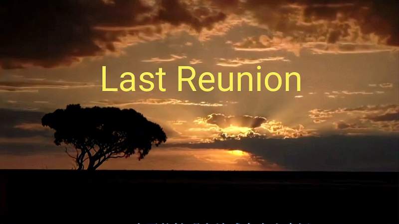 [图]抖音超火轻音乐《Last Reunion》，感受一下超震撼音乐