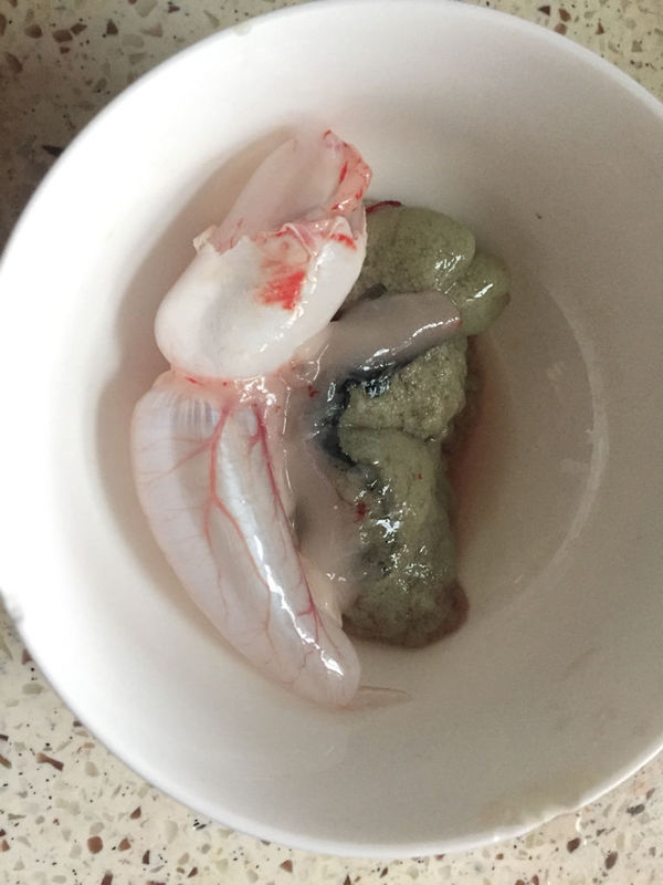 鲫鱼肚子里的鱼籽怎么是绿色的,能吃吗?