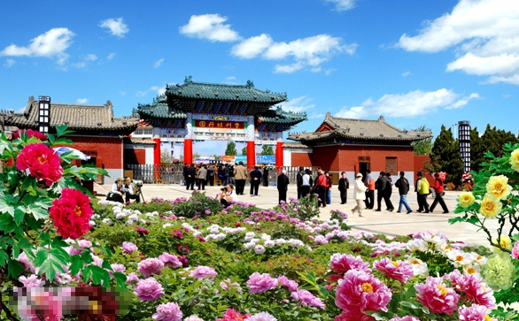准备明天自驾游菏泽周边二三百公里的旅游景点有哪些?急,急,急