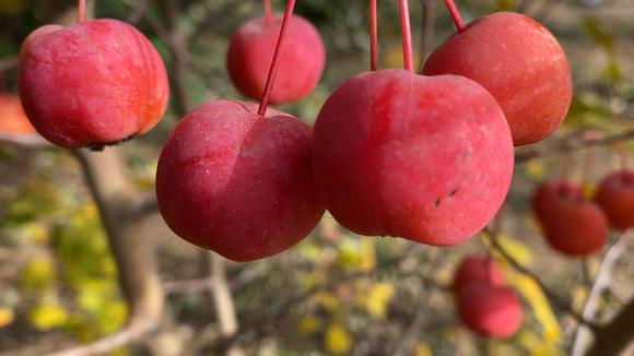 360影视 影视搜索 360影视 影视搜索