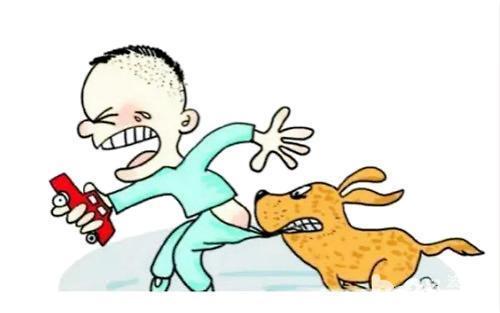如何防止小孩被狗咬?