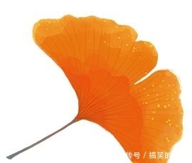 短视频如何运作