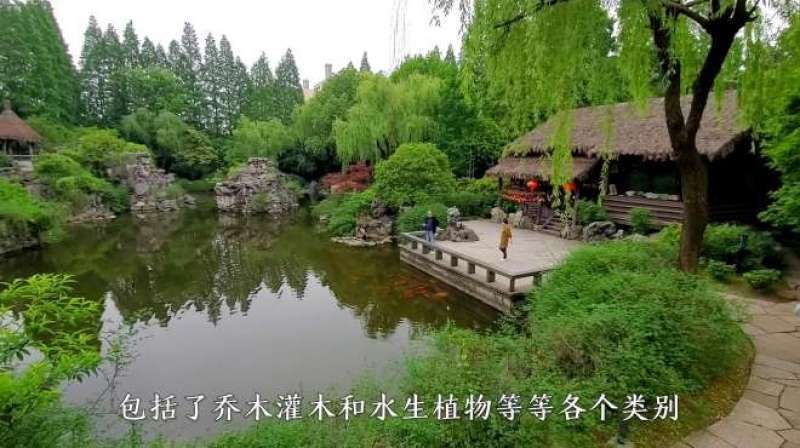 [图]实拍绍兴沈园，国家5A级景区，江南著名园林，带大家现场走走