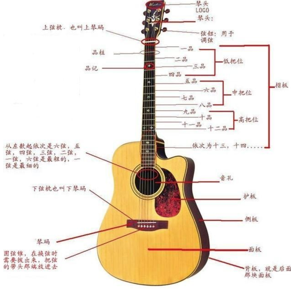 吉他降半音调弦 调音器上怎么显示啊