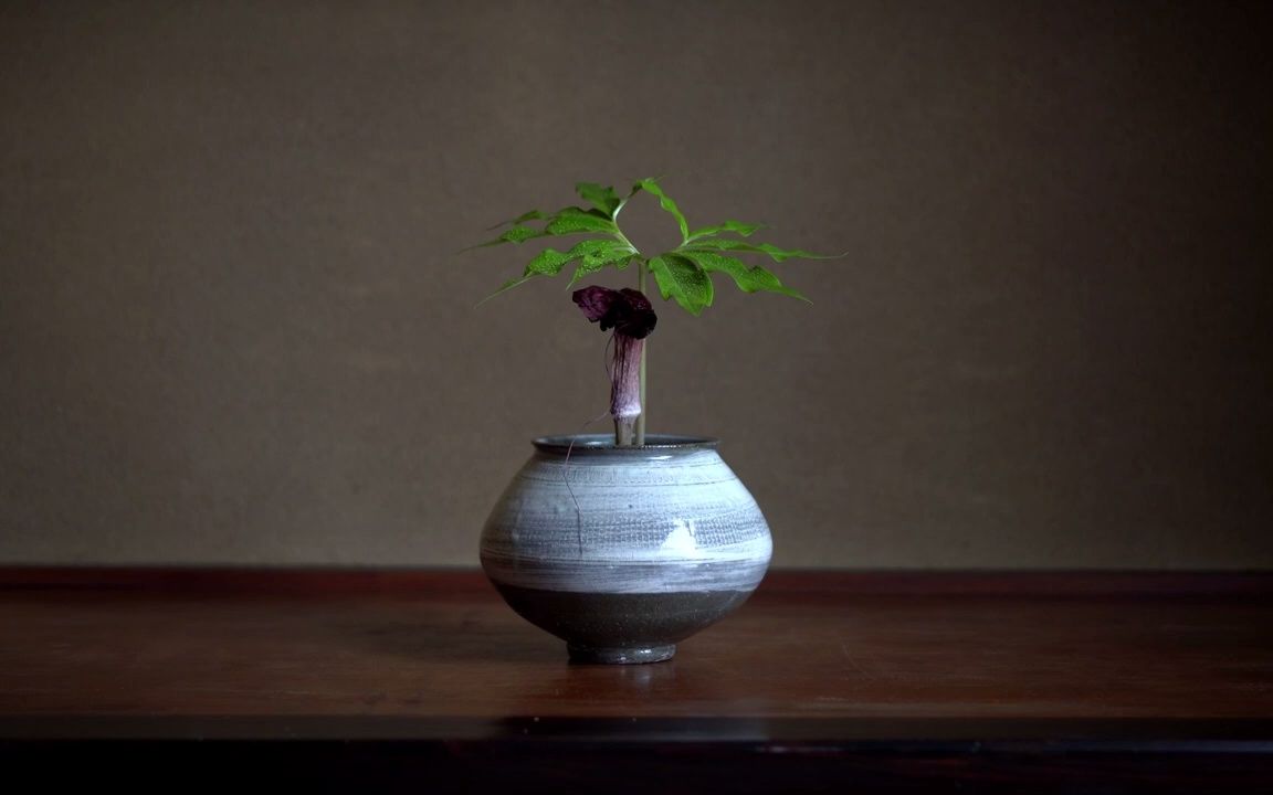 360影视 影视搜索