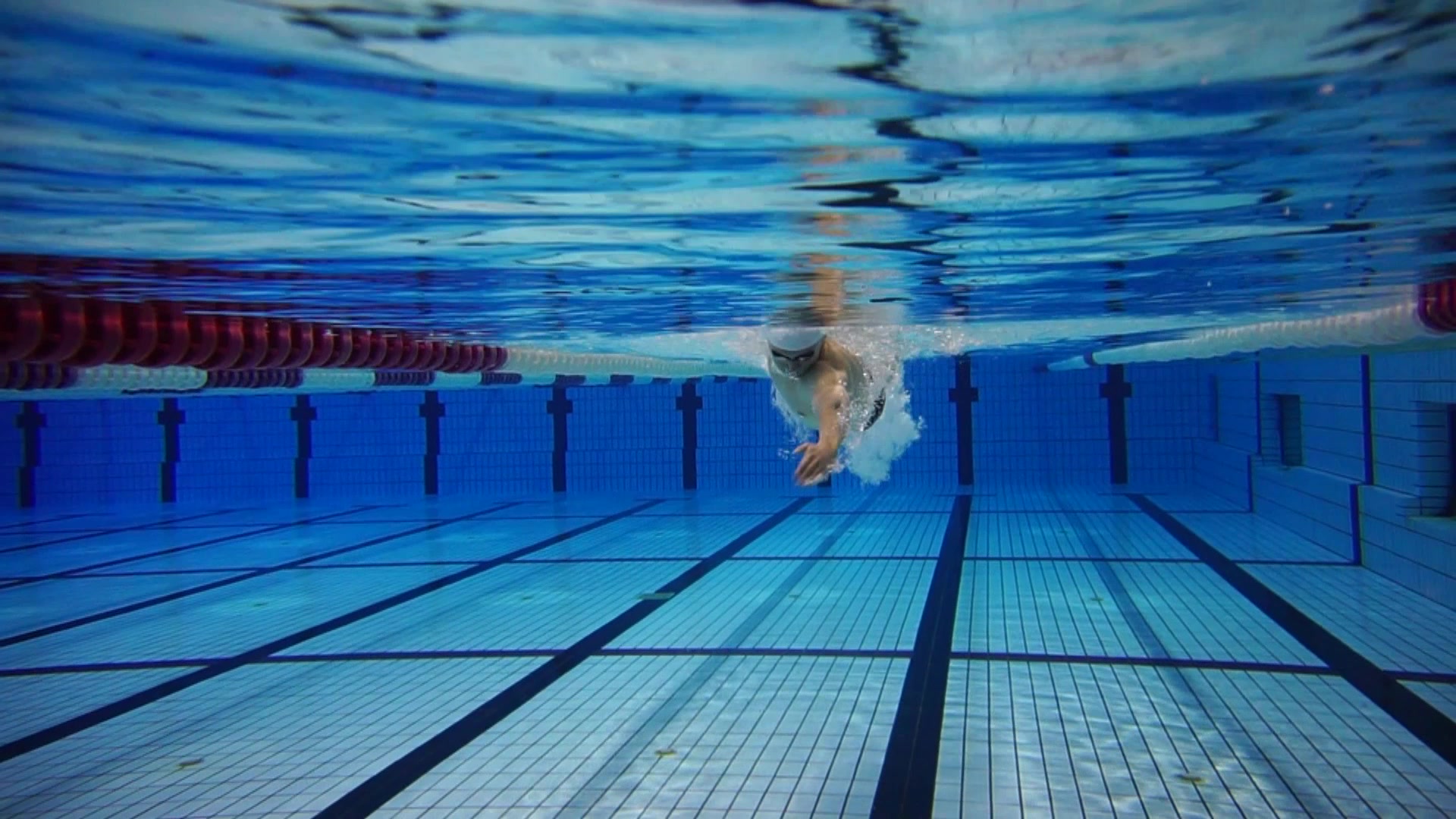 高清防水套  上海国家游泳馆水下 拍摄视频