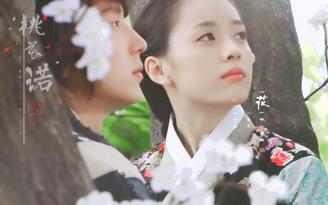 韩孝周x李准基//一枝梅恩彩cp混剪// 桃花诺//剪辑by小白