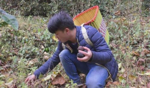 柴油现在价格多少钱一斤