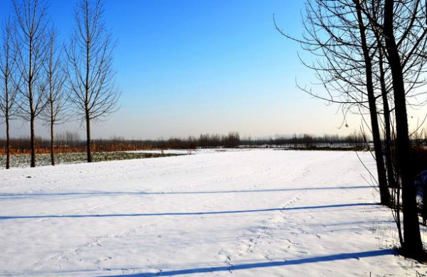 形容寒冬臘月大雪紛飛的詩句有哪些?