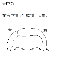 额头天柱纹图片图片