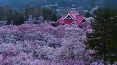 360影视 影视搜索