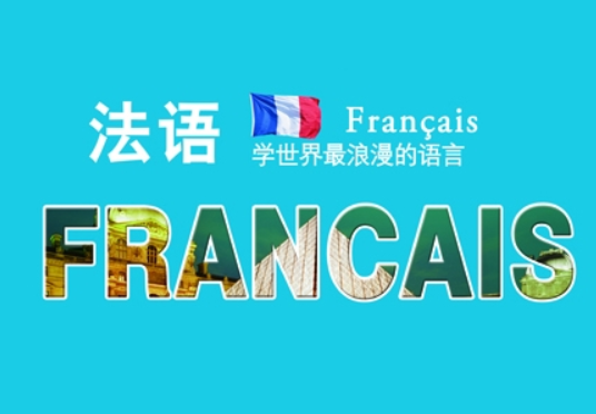 在法国人们大概讲几种语言,分别是什么